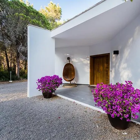 Peaceful In Santa Gertrudis *